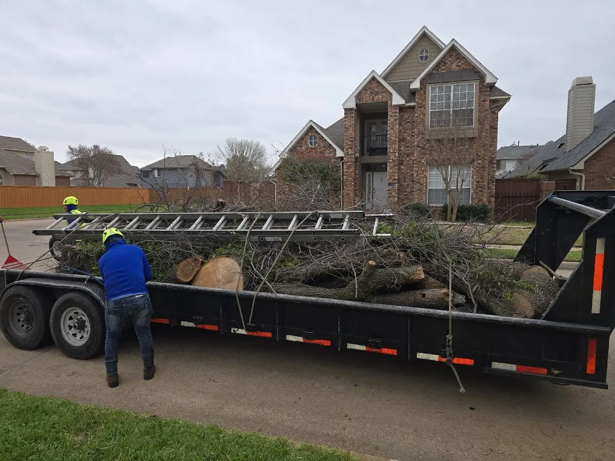 Expert Tree Removal with proper safety equipment in Hiseville